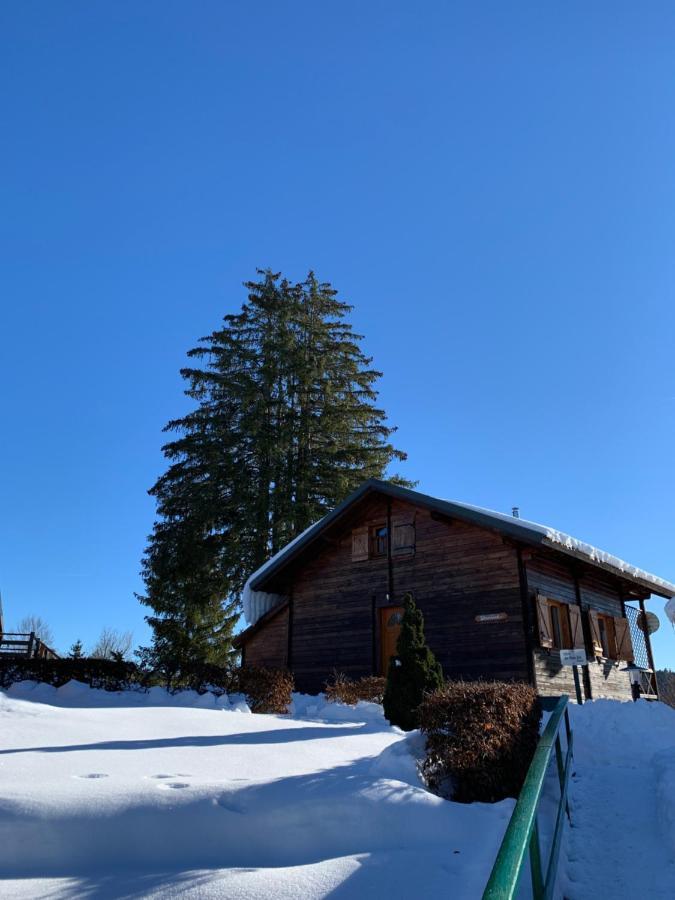 Chalet Du Bois Joli Saint-Laurent-en-Grandvaux Экстерьер фото